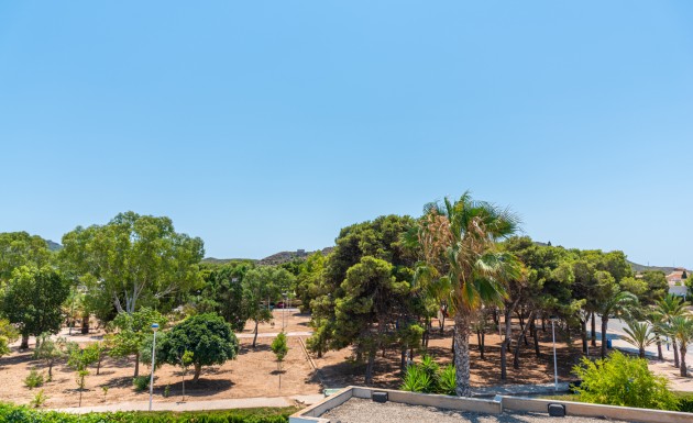 Новое здание - detached - Playa Paraiso