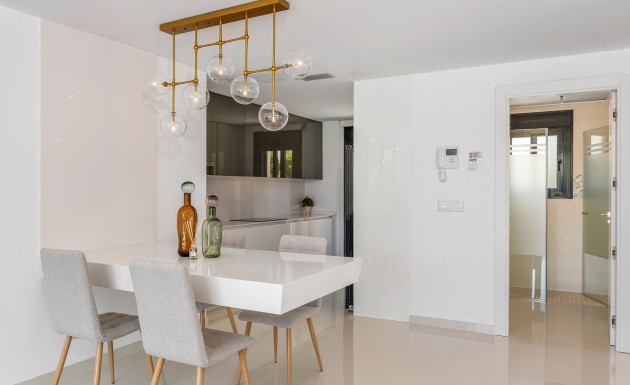 Новое здание - detached - Playa Paraiso