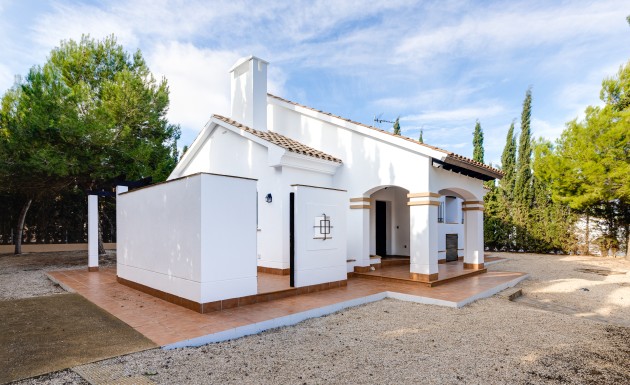 Nowy budynek - detached - Fuente Alamo