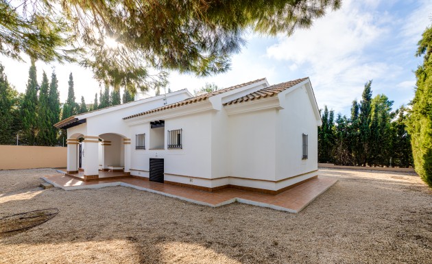 Nowy budynek - detached - Fuente Alamo