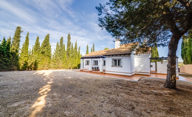 Nowy budynek - detached - Fuente Alamo