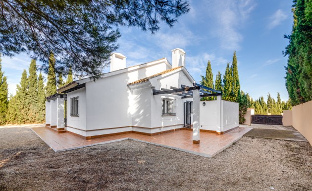 Nowy budynek - detached - Fuente Alamo