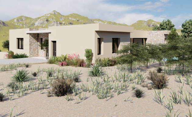 Obra nueva - detached - Yecla