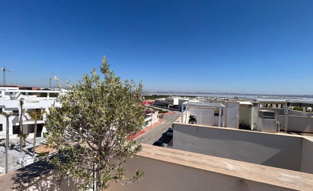 Nybygg - Toppleilighet - Torrevieja