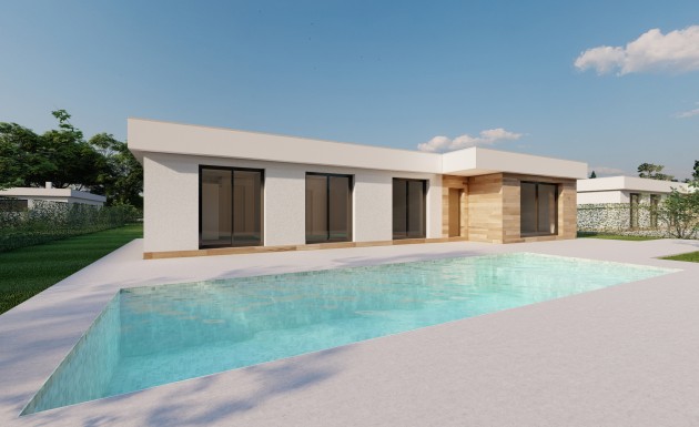 Obra nueva - detached - Calasparra