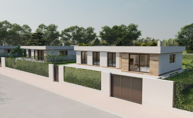 Obra nueva - detached - Calasparra