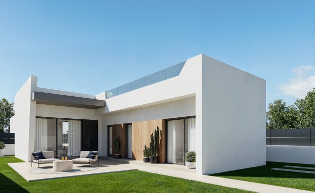 Nouvelle construction - detached - San Miguel de Salinas