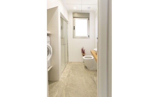 Nouvelle construction - detached - Pilar de la Horadada