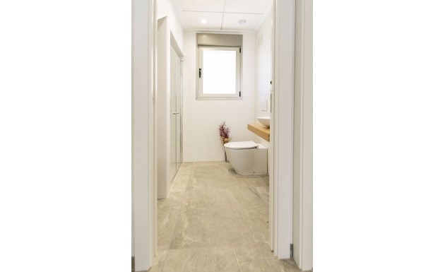 Nouvelle construction - detached - Pilar de la Horadada