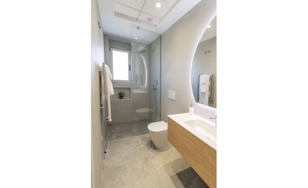 Nouvelle construction - detached - Pilar de la Horadada