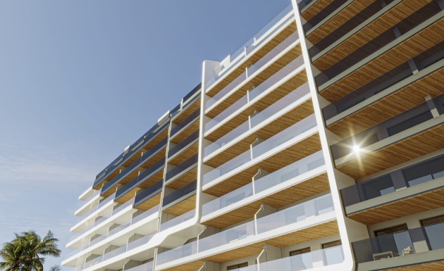 Obra nueva - apartment - Torrevieja