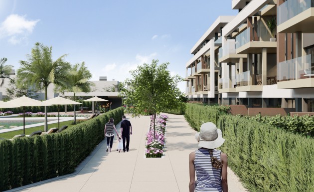 Новое здание - ground-floor - Torre-Pacheco
