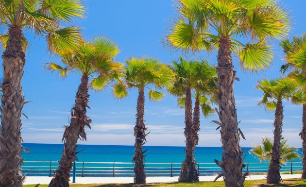 Новое здание - detached - Orihuela Costa