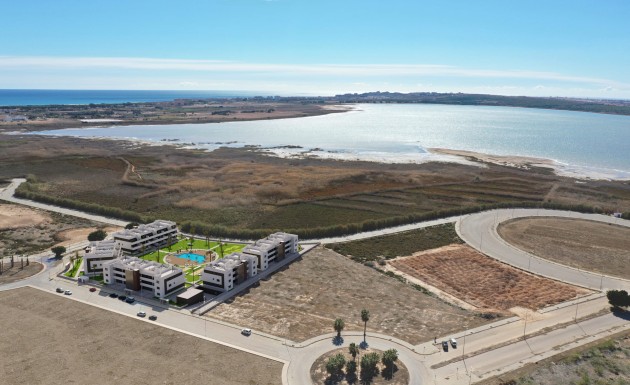 Nowy budynek - ground-floor - Guardamar del Segura