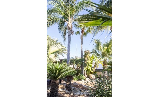 Nouvelle construction - Villa - San Pedro del Pinatar