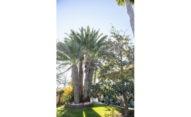 Nouvelle construction - Villa - San Pedro del Pinatar