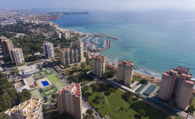 New Build - apartment - Orihuela Costa