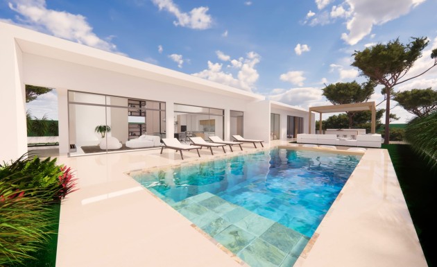 Obra nueva - detached - Pilar de la Horadada