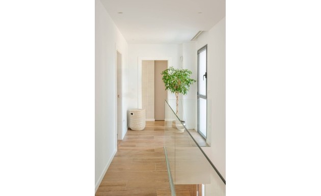 Nowy budynek - detached - Molina de Segura