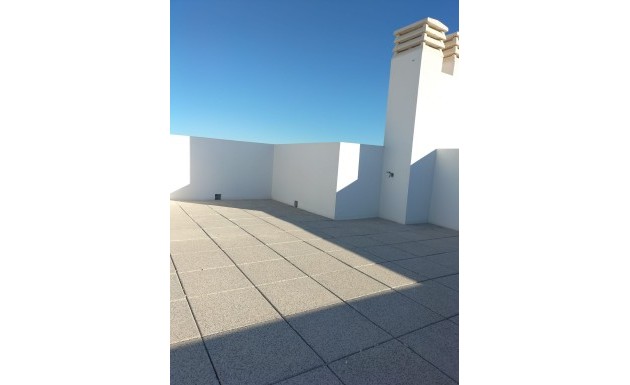 Obra nueva - high-bungalow - Orihuela Costa