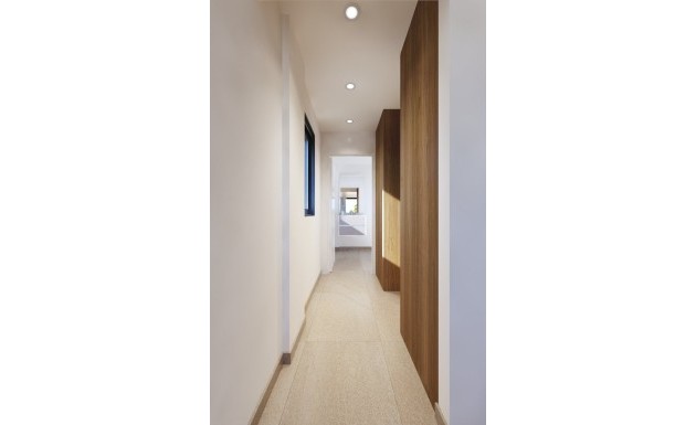 New Build - detached - San Miguel de Salinas