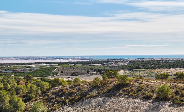 New Build - detached - San Miguel de Salinas