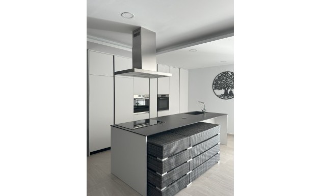 New Build - detached - Pinoso