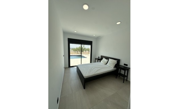 New Build - detached - Pinoso