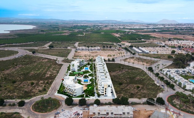 Nouvelle construction - apartment - Guardamar del Segura