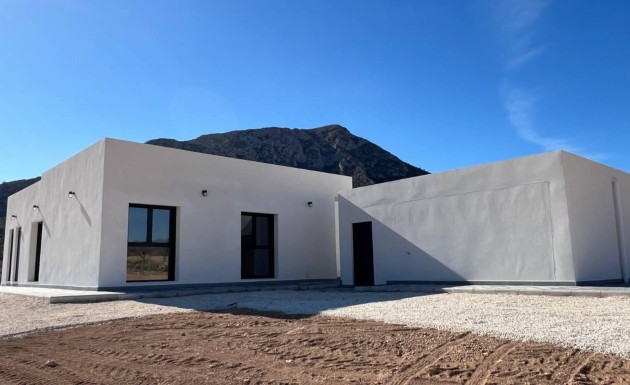 Obra nueva - detached - La Canalosa
