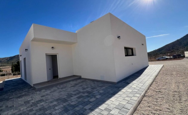 Obra nueva - detached - La Canalosa