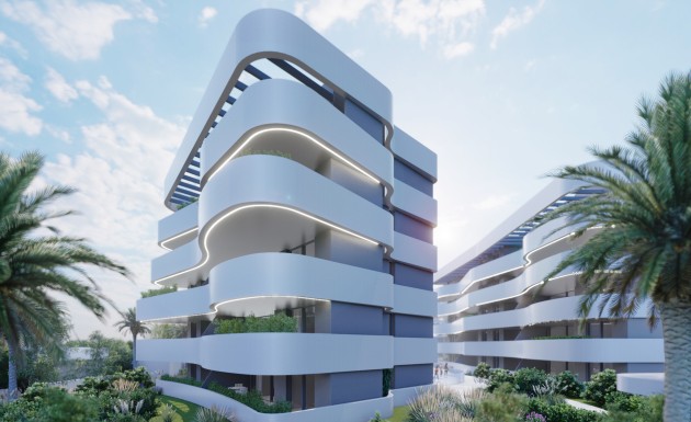 Nowy budynek - apartment - Guardamar del Segura