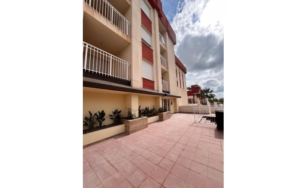 Nowy budynek - ground-floor - Orihuela Costa