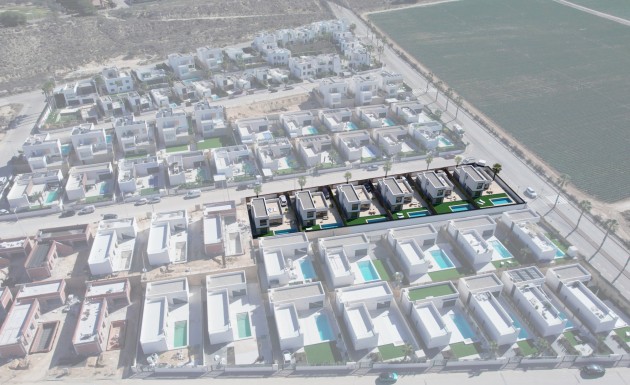 Nowy budynek - detached - Algorfa