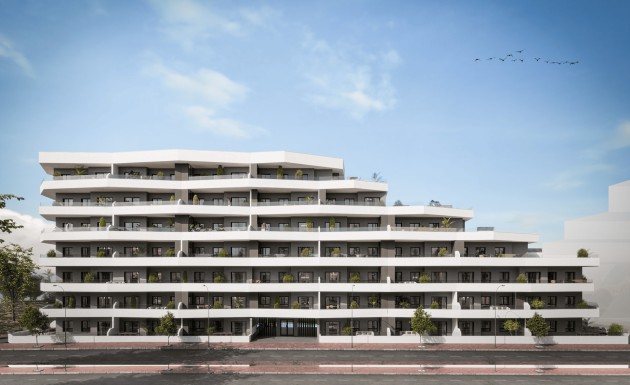 New Build - ground-floor - San Miguel de Salinas