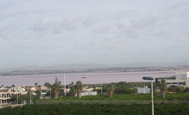 Новое здание - terraced - Torrevieja