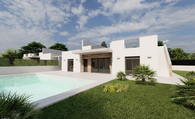 Obra nueva - detached - Roldán