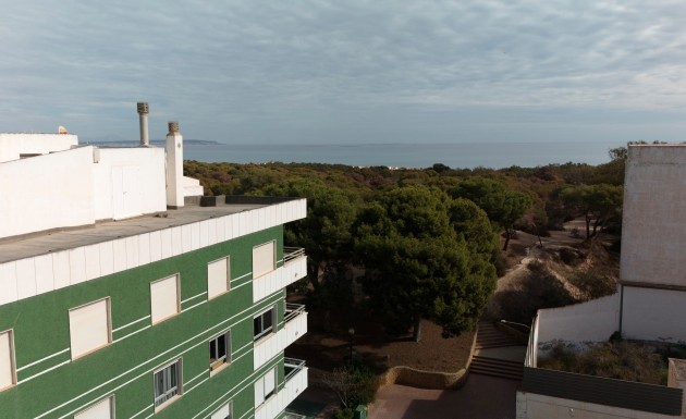 New Build - apartment - Guardamar del Segura