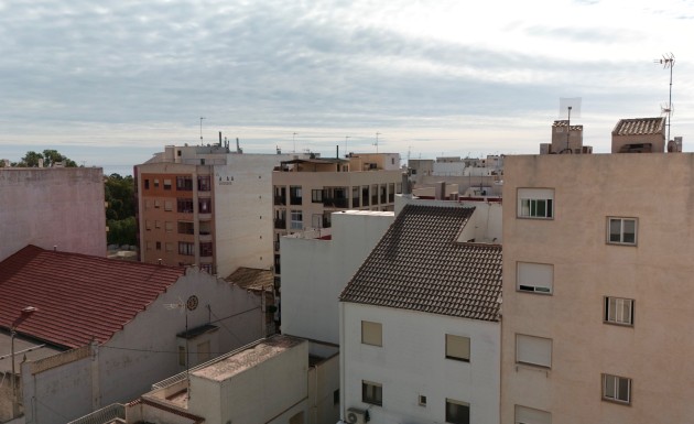 New Build - apartment - Guardamar del Segura