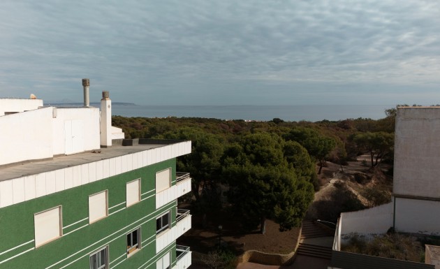 New Build - apartment - Guardamar del Segura
