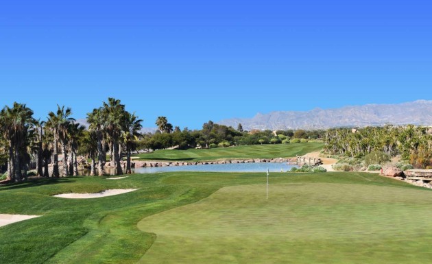 Nybyggnation - Villa - Cuevas del Almanzora - Villaricos