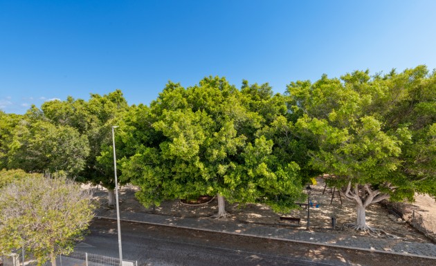 Nybyggnation - detached - Pilar de la Horadada