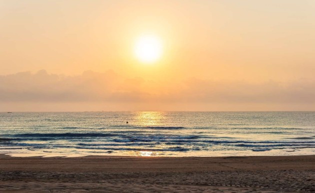 Nouvelle construction - apartment - Guardamar del Segura