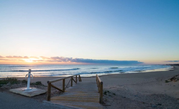 Nouvelle construction - apartment - Guardamar del Segura