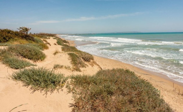 Nouvelle construction - apartment - Guardamar del Segura