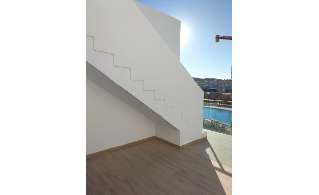 Nouvelle construction - low-bungalow - Orihuela