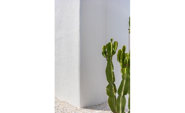 Nybyggnation - detached - Los Alcázares