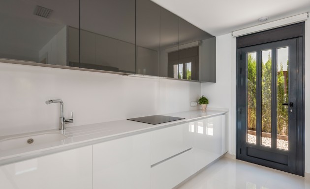 Новое здание - detached - Playa Paraiso