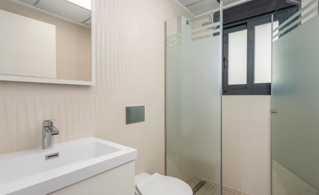 Новое здание - detached - Playa Paraiso