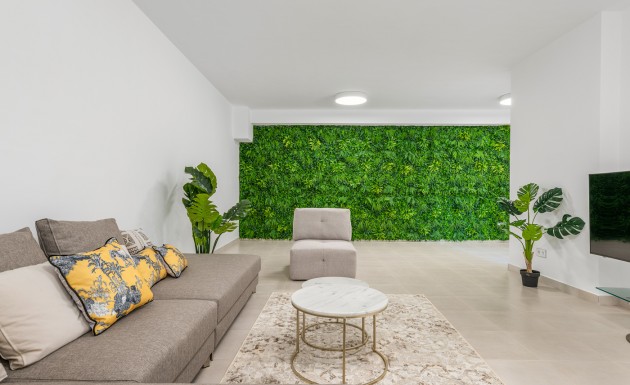 Новое здание - detached - Playa Paraiso